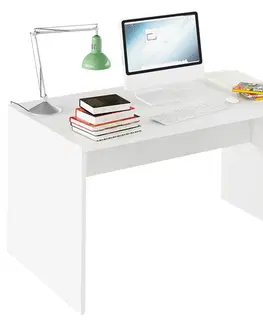 Kancelářské skříně PC stůl, Rioma TYP 11 0000185732 Tempo Kondela Dub artisan / bílá