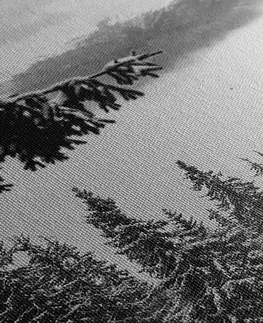 Černobílé obrazy Obraz dřevěný domek u zasněžených borovicích v černobílém provedení