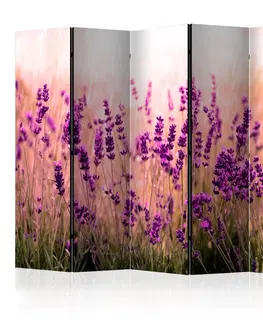 Paravány Paraván Lavender in the Rain Dekorhome 225x172 cm (5-dílný)