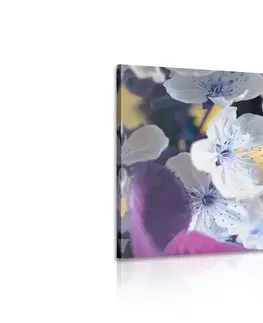 Obrazy květů Obraz kvetoucí větvička třešně