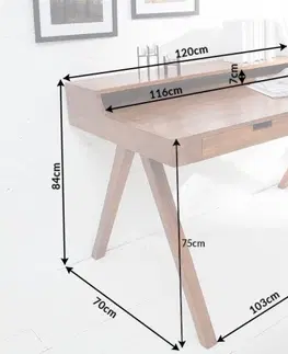 Pracovní stoly Psací stůl s úložným prostorem APIS Dekorhome 100x60x84 cm