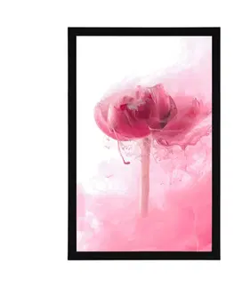 Květiny Plakát růžový květ v zajímavém provedení