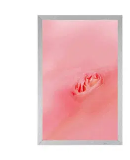 Motivy z naší dílny Plakát v objetí růžové