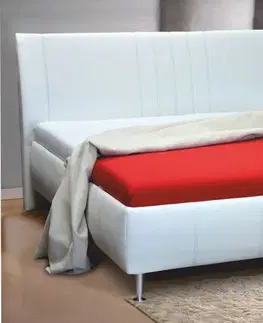 Postele Kasvo postel TABITA 2 180x200 cm TAL-PW 21 Doprodej