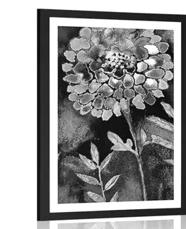 Černobílé Plakát s paspartou nádherné květiny v černobílém provedení