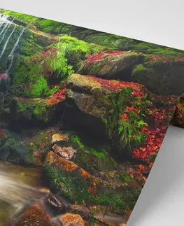 Samolepící tapety Samolepící fototapeta vodopád v lese