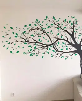 Samolepky na zeď Samolepka na zeď - Listnatý strom ve vlastní barvě
