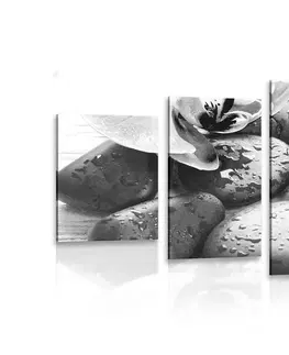 Černobílé obrazy 5-dílný obraz krásná souhra kamenů a orchideje v černobílém provedení