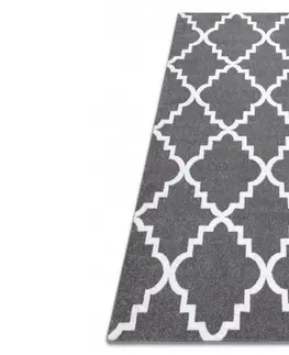 Koberce a koberečky Dywany Lusczow Kusový koberec SKETCH Danny šedý /bílý trellis, velikost 80x150