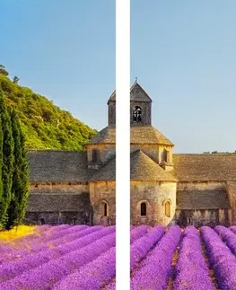 Obrazy květů 5-dílný obraz Provence s levandulovými poli