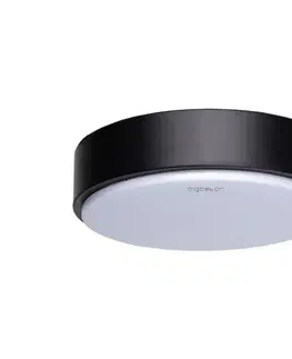 Svítidla  B.V.  - LED Stropní svítidlo LED/12W/230V 6500K pr. 23 cm černá 