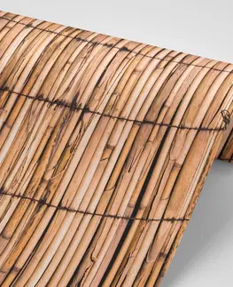 Tapety s imitací dřeva Fototapeta exotický bambus