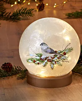 Svíčky a světelné dekorace LED skleněná koule "Zimní pták"