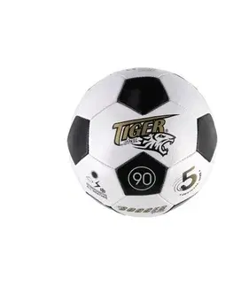 Hračky na zahradu Teddies Fotbalový míč, pr. 23 cm