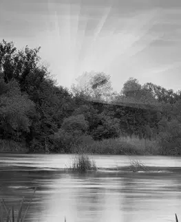 Černobílé obrazy Obraz východ slunce u řeky v černobílém provedení