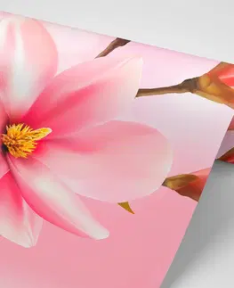 Samolepící tapety Samolepící tapeta něžná růžová magnolie