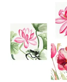 Sestavy obrazů Set obrazů akvarelové květiny