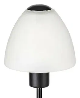 Lampy na noční stolek Rabalux stolní lampa Lydia E14 1x MAX 40W matná černá DIM 2296