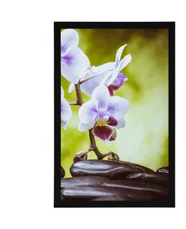 Feng Shui Plakát zen kameny a orchidej