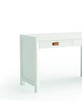 Stylové a luxusní pracovní a psací stoly Estila Moderní masivní psací stolek Lyon s možností volitelné barevnosti se dvěma šuplíky 120cm