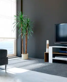 TV stolky Kalune Design TV stolek SOLE 120 cm bílý/ořech