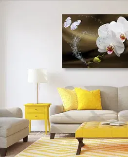 Obrazy květů Obraz orchidej a motýl