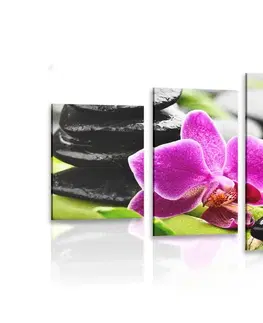 Obrazy Feng Shui 5-dílný obraz wellness zátiší s fialovou orchidejí
