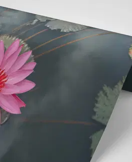 Samolepící tapety Samolepící fototapeta okouzlující lotosový květ