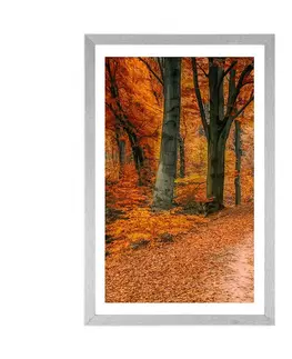 Příroda Plakát s paspartou les v podzimním období
