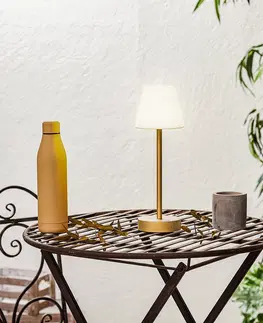 Stolni lampy Mosazná stolní lampa včetně LED dobíjecí s dotykovým stmívačem - Renata