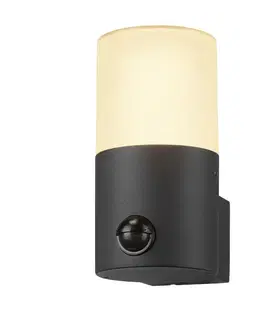 Venkovní nástěnná svítidla s pohybovým čidlem SLV BIG WHITE GRAFIT E27 round Sensor nástěnné přisazené svítidlo antracit 1006179