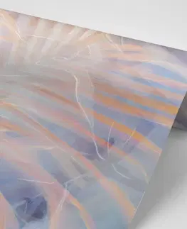 Samolepící tapety Samolepící tapeta listy s nádherným zbarvením