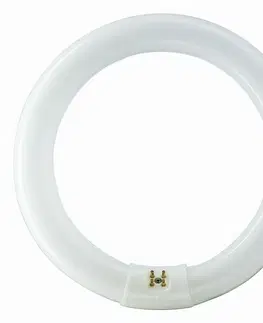 Kruhové zářivky Philips kruhová MASTER TL-E Circular Super 80 22W/840 1CT  G10q