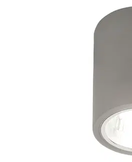 Moderní bodová svítidla Rabalux stropní svítidlo Donald E27 1x MAX 60W šedá 2485