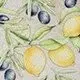 Koberce a koberečky Kuchyňský koberec s motivem citrónů a oliv