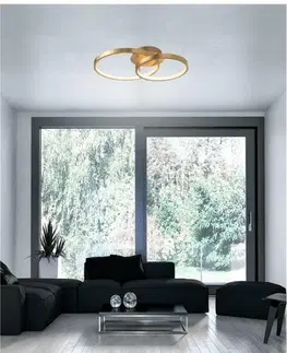 Designová stropní svítidla Nova Luce Originální stropní LED svítidlo Leon v luxusním zlatém designu NV 8100282