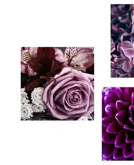Sestavy obrazů Set obrazů fialové květiny se srdíčkem