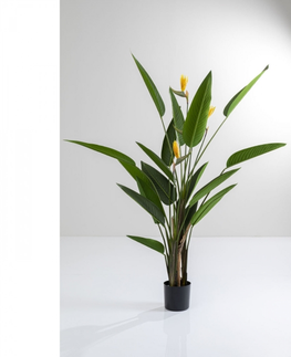 Umělé rostliny KARE Design Dekorativní rostlina Paradise Flowers 190cm
