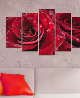 Obrazy Hanah Home Vícedílný obraz Rojo Manto 110x60 cm