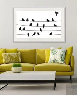 Zvířata Plakát ptáci na drátě - Birds Council Meeting