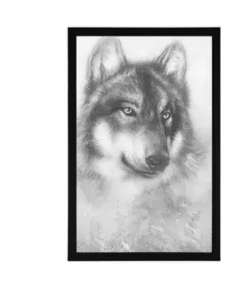 Černobílé Plakát vlk v zasněžené krajině v černobílé krajině