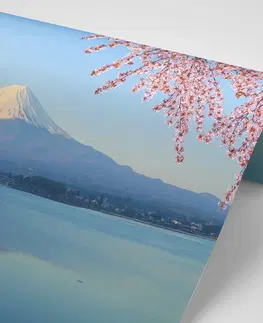 Samolepící tapety Samolepící fototapeta výhled z jezera na Fuji