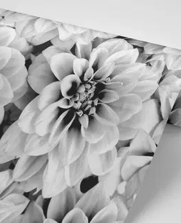 Samolepící tapety Samolepící fototapeta květiny dálí v černobílém provedení