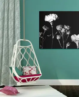 Černobílé obrazy Obraz elegantní černobílé květiny