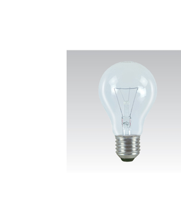 Žárovky  Průmyslová speciální žárovka E27/100W/24V 