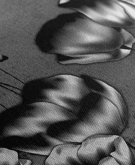 Černobílé obrazy Obraz máky v etno nádechu v černobílém provedení