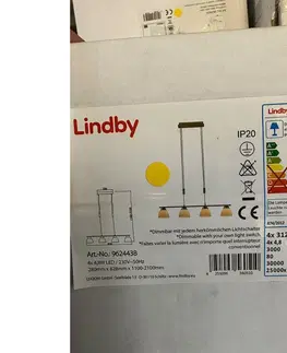 Svítidla Lindby Lindby - LED Stmívatelný lustr na lanku CERSEI 4xLED/4,8W/230V 