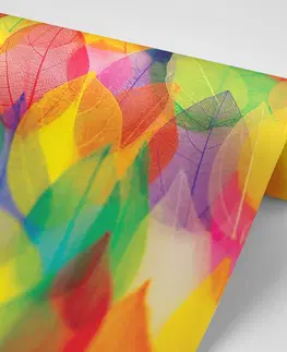 Samolepící tapety Samolepící tapeta listy v podzimních barvách
