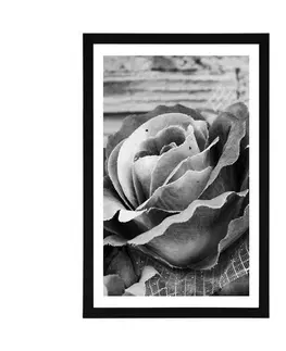 Černobílé Plakát s paspartou elegantní vintage růže v černobílém provedení