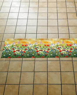 Koberce a koberečky Kuchyňský koberec